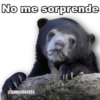 No me sorprende
@ADOLFOOJOSE
