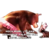 yjaneth
HOLA MAMI, ¿TE HAN
DICHO QUE PALECES UNA
SUPEL MODELO?