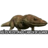 ASÍ ES MI ESTIMADO CABEZA DE GLANDE