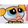 Me gritaste