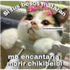 Animales 7