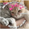 Animales 8