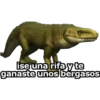 ise una rifa y te
ganaste unos bergasos