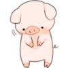 Cerdito Bonito 2 9