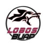 Liga ~ Mexico 5