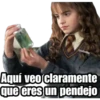 Harryp 8