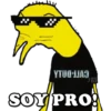 Niño rata 10