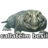 callateim besil