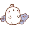 Molang 2 6