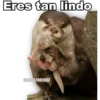 Eres tan lindo
@ADOLFOOJOSE