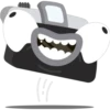 Photographic camera 12