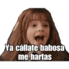 Harryp 12