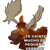 Tierra de Osos • Twitter e Ig: 6