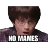Harryp 13