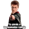 Harryp 14