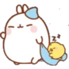 ^-^ Kawaii Rabbit 6 ^-^ 15
