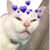Smudge Lord (Gato Meme) 8