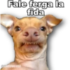 Fale ferga la
fida
@ADOLFOOJOSE