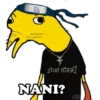 Niño rata 15