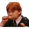 Harryp 15