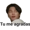 JIMIN (BTS) 14