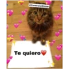 Animales 9