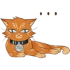35009