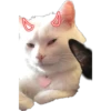 Smudge Lord (Gato Meme) 9