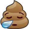 Poop 15