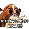 SE ESTÁ VOLVIENDO
SALVAJE!