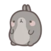 Molang 2 14