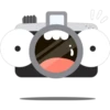 Photographic camera 15