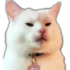 Smudge Lord (Gato Meme) 11