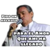 PIDO UN
APLAUSO
PARA EL AMOR
QUE AMI HA
LLEGADO