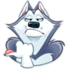Hussie GoodBoy 15