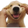 ramdom(JoaoVP) 14