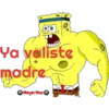 Ya valiste
madre
●Meyer Mac