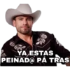 YA,ESTAS
PEINAD@ PÁ TRAS