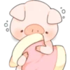Cerdito Bonito 2 18