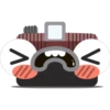Photographic camera 17