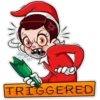 TER
TRIGGERED