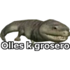 Olles k grosero