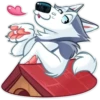 Hussie GoodBoy 18