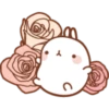 Molang 2 18