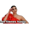 The Taman
me tienes harta