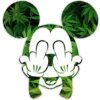 Ratón de hojas