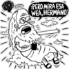 PERO MIRA ESA
WEA, HERMANO
MALAIMAGEN