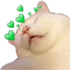 Smudge Lord (Gato Meme) 12