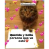 Animales 15