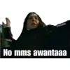 Harryp 22